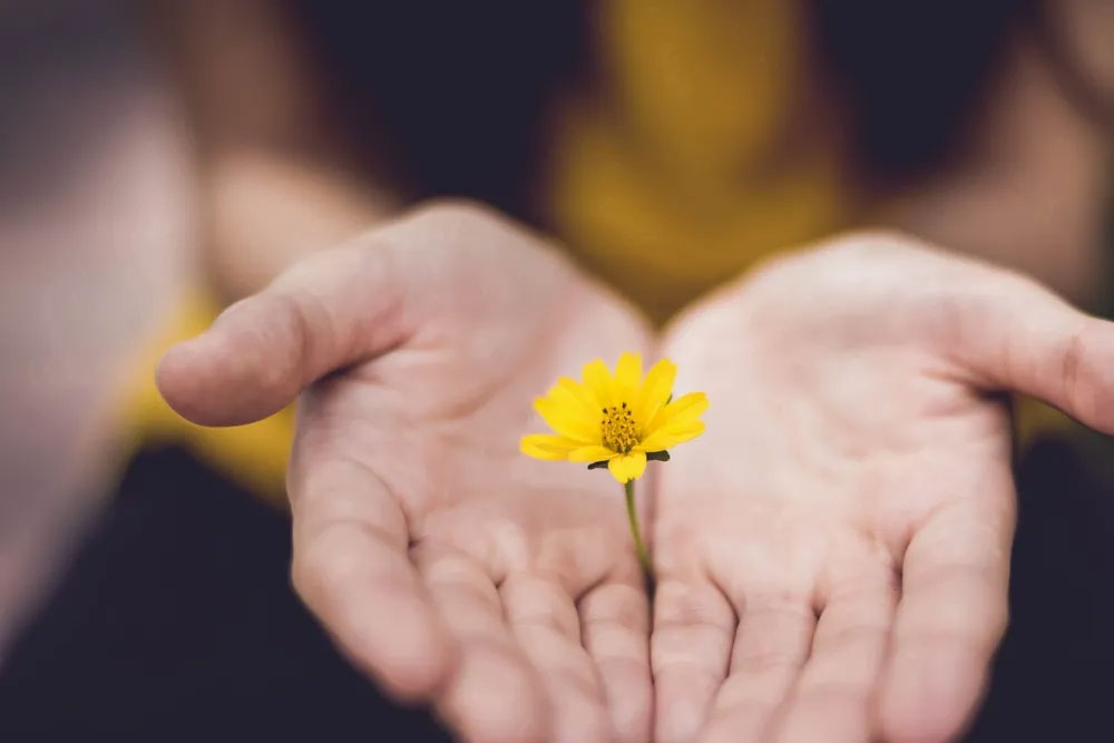 hands with flower, PTSD treatment in Ambler, PA, trauma therapist in Colorado, PTSD counseling in Colorado